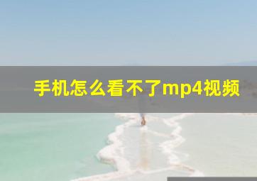 手机怎么看不了mp4视频