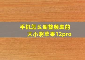 手机怎么调整频率的大小啊苹果12pro