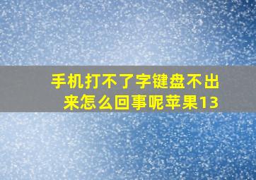 手机打不了字键盘不出来怎么回事呢苹果13