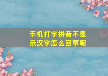 手机打字拼音不显示汉字怎么回事呢