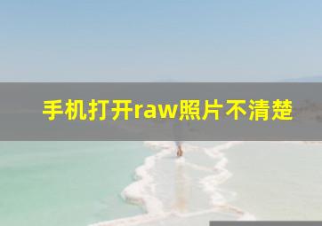 手机打开raw照片不清楚