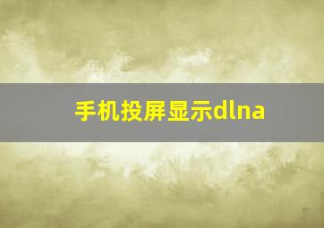 手机投屏显示dlna