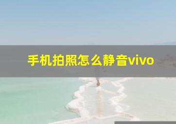 手机拍照怎么静音vivo