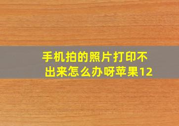 手机拍的照片打印不出来怎么办呀苹果12