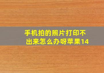 手机拍的照片打印不出来怎么办呀苹果14