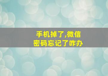 手机掉了,微信密码忘记了咋办