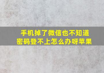 手机掉了微信也不知道密码登不上怎么办呀苹果