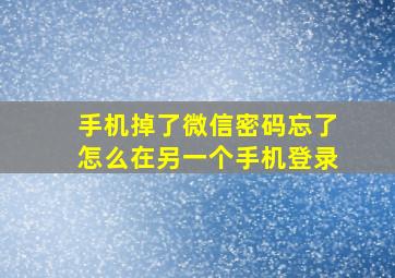 手机掉了微信密码忘了怎么在另一个手机登录