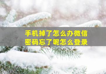 手机掉了怎么办微信密码忘了呢怎么登录