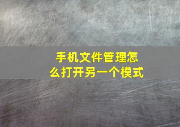 手机文件管理怎么打开另一个模式