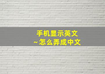 手机显示英文～怎么弄成中文