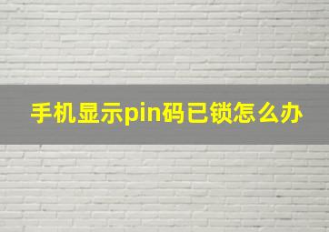 手机显示pin码已锁怎么办