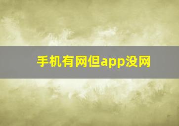 手机有网但app没网