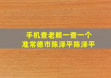 手机查老赖一查一个准常德市陈泽平陈泽平