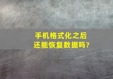 手机格式化之后还能恢复数据吗?