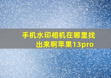 手机水印相机在哪里找出来啊苹果13pro