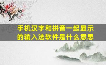 手机汉字和拼音一起显示的输入法软件是什么意思