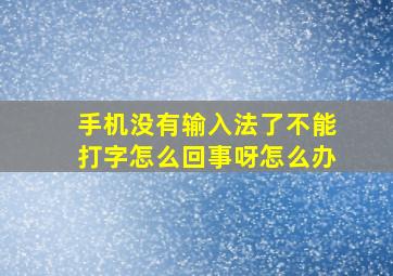 手机没有输入法了不能打字怎么回事呀怎么办