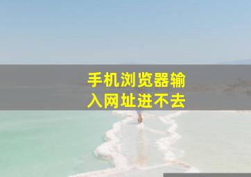 手机浏览器输入网址进不去