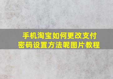 手机淘宝如何更改支付密码设置方法呢图片教程