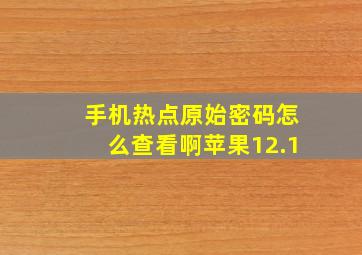 手机热点原始密码怎么查看啊苹果12.1