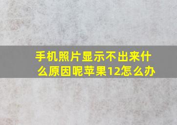 手机照片显示不出来什么原因呢苹果12怎么办