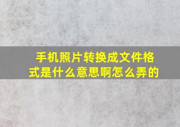 手机照片转换成文件格式是什么意思啊怎么弄的