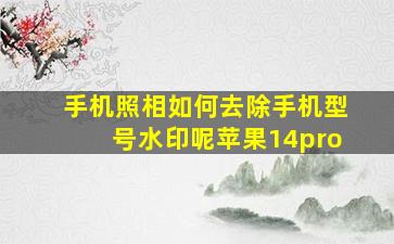 手机照相如何去除手机型号水印呢苹果14pro