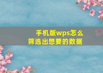 手机版wps怎么筛选出想要的数据