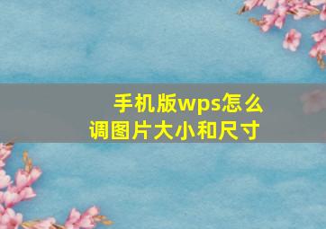 手机版wps怎么调图片大小和尺寸