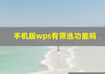 手机版wps有筛选功能吗