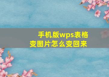 手机版wps表格变图片怎么变回来