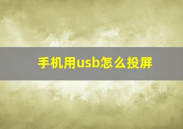 手机用usb怎么投屏