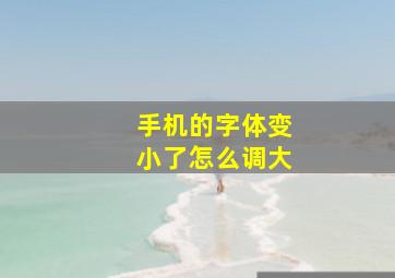 手机的字体变小了怎么调大