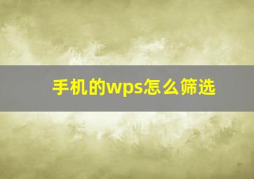 手机的wps怎么筛选