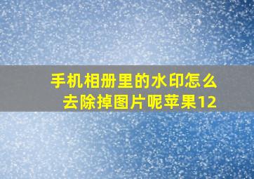 手机相册里的水印怎么去除掉图片呢苹果12