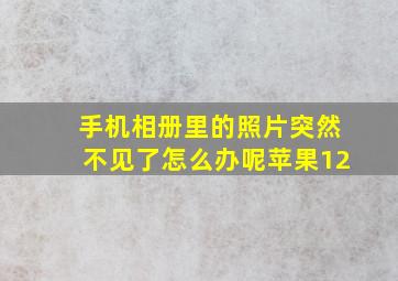 手机相册里的照片突然不见了怎么办呢苹果12