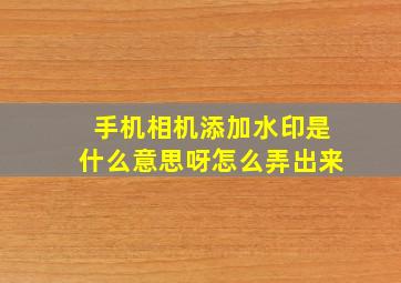 手机相机添加水印是什么意思呀怎么弄出来