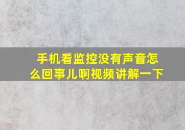 手机看监控没有声音怎么回事儿啊视频讲解一下