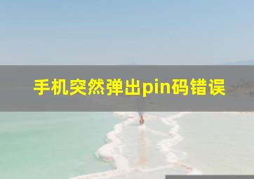 手机突然弹出pin码错误