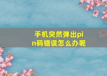 手机突然弹出pin码错误怎么办呢