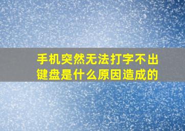 手机突然无法打字不出键盘是什么原因造成的