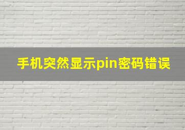 手机突然显示pin密码错误