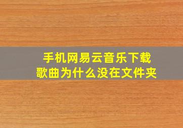 手机网易云音乐下载歌曲为什么没在文件夹