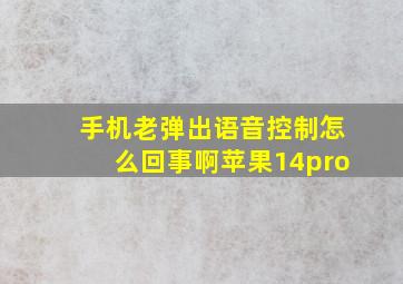 手机老弹出语音控制怎么回事啊苹果14pro