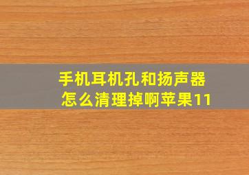 手机耳机孔和扬声器怎么清理掉啊苹果11