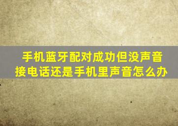 手机蓝牙配对成功但没声音接电话还是手机里声音怎么办