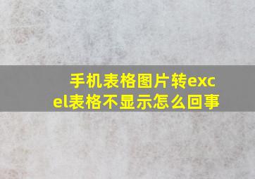 手机表格图片转excel表格不显示怎么回事