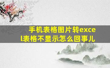 手机表格图片转excel表格不显示怎么回事儿