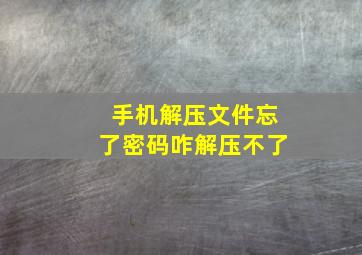 手机解压文件忘了密码咋解压不了